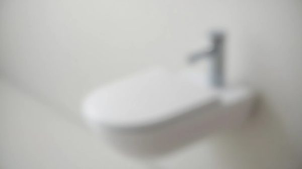 Douchette pour wc suspendu : élégance, hygiène et confort au quotidien